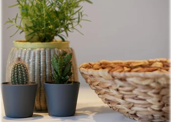 Gemuetlich - 2 Zimmer-altbau, 24h Check-in